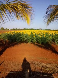 received_861800627925291